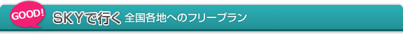 SKYで行く全国各地へのフリープラン